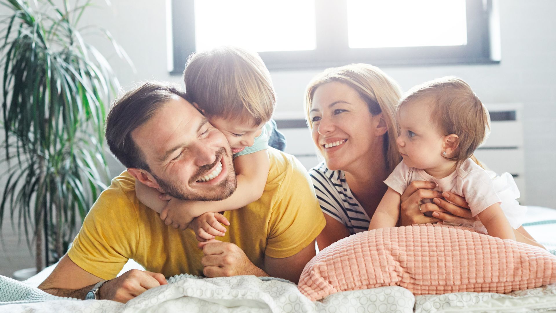 Zimmer personal header Zimmer Personal Insurance